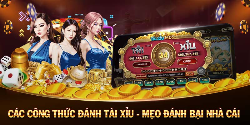 oxbet-Bắt đầu hành trình với code tân thủ ngay hôm nay!