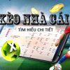 Đá Gà 8xbet – Tựa Game Hấp Dẫn Trả Thưởng Lớn Tại Việt Nam