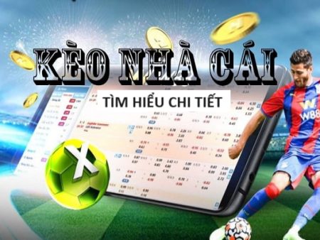 Đá Gà 8xbet – Tựa Game Hấp Dẫn Trả Thưởng Lớn Tại Việt Nam