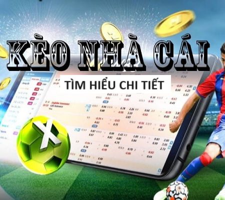 Đá Gà 8xbet – Tựa Game Hấp Dẫn Trả Thưởng Lớn Tại Việt Nam