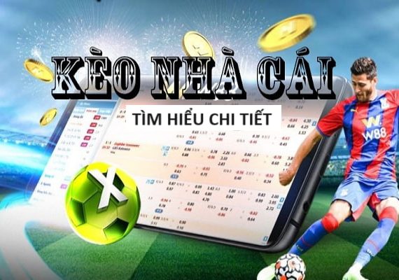 Đá Gà 8xbet – Tựa Game Hấp Dẫn Trả Thưởng Lớn Tại Việt Nam