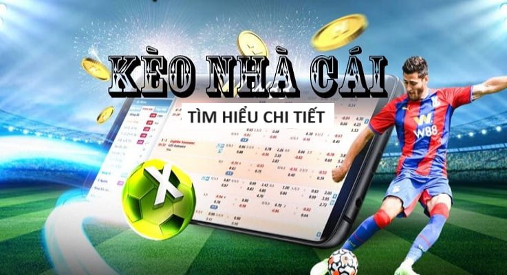 Đá Gà 8xbet – Tựa Game Hấp Dẫn Trả Thưởng Lớn Tại Việt Nam