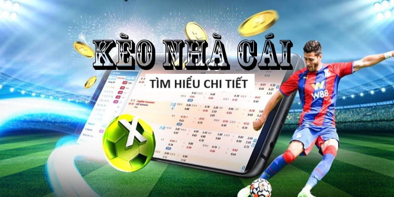 Đá Gà 8xbet – Tựa Game Hấp Dẫn Trả Thưởng Lớn Tại Việt Nam